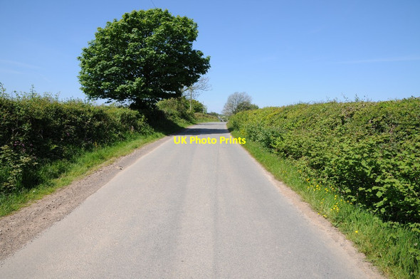 Photo 6"x4" Road near Wimblewood ganol Ilston c2014