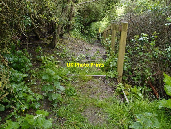 Photo 6"x4" Steps down the embankment Marefield c2014