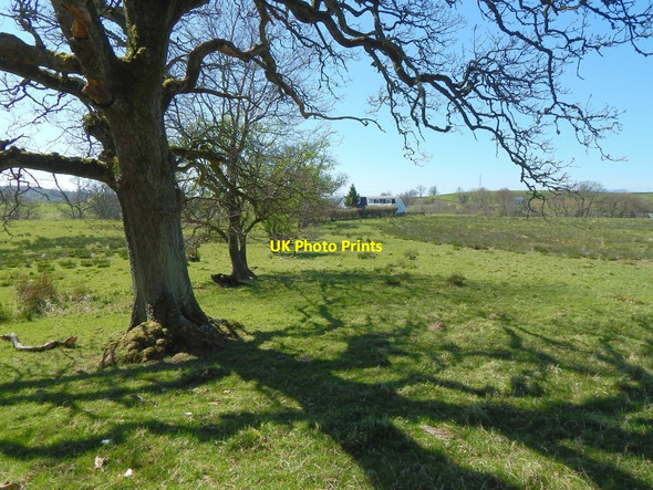 Photo 6"x4" Former field boundary Gartness\/NS5086 c2014