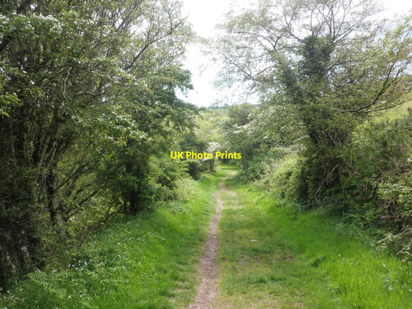 Photo 6"x4" The South West Coast Path, above Woody Bay Woody Bay\/SS6749 c2014
