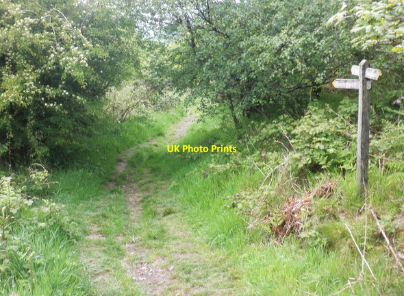 Photo 6"x4" Footpath junction, east of Martinhoe Martinhoe c2014