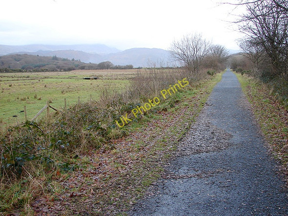 Photo 6"x4" The long straight between Morfa Mawddach and Arthog Barmouth\/Abermaw c2008