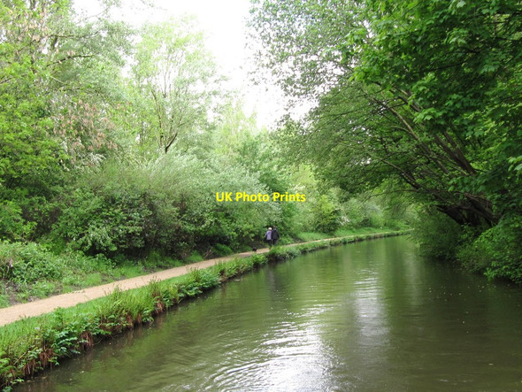 Photo 6"x4" Walking the dog, Peak Forest Canal towpath Denton\/SJ9295 c2014