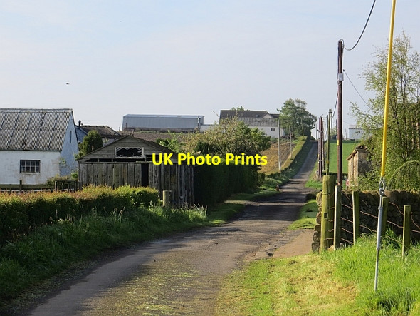Photo 6"x4" Cauldcoats Holdings Cauldcoats Holdings c2014
