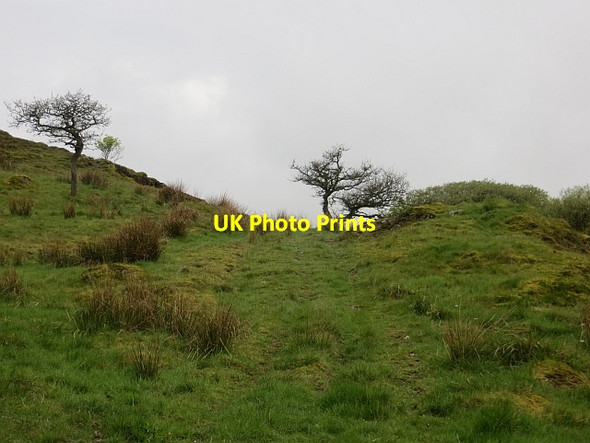 Photo 6"x4" Rough grazing, Cairnpapple Hill Bathgate c2014