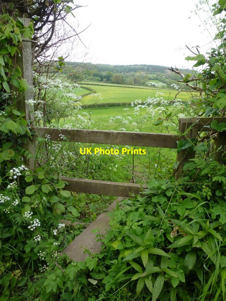 Photo 6"x4" Stile on a county boundary Luxley c2014