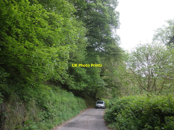 Photo 6"x4" Lane through Mill Wood to Killington Kemacott c2014