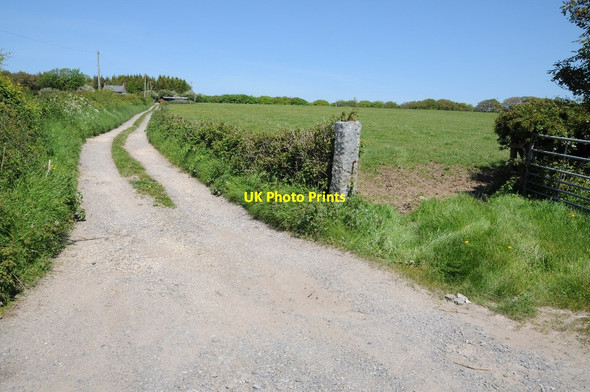 Photo 6"x4" Drive to a cottage near Penrose Farm Bryn\/SS5293 c2014