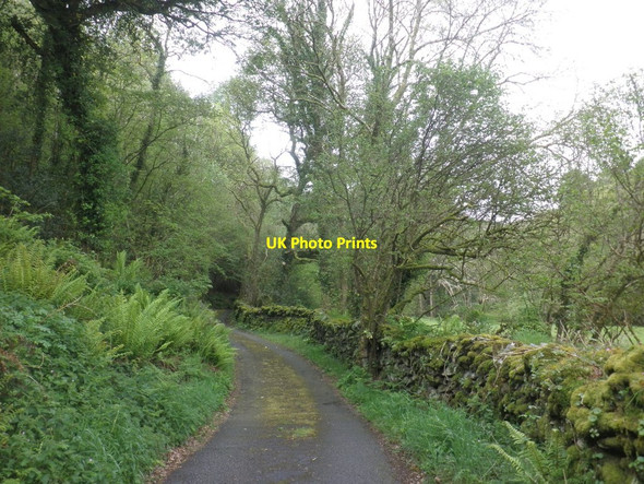 Photo 6"x4" Road to Bumsley Killington\/SS6646 c2014