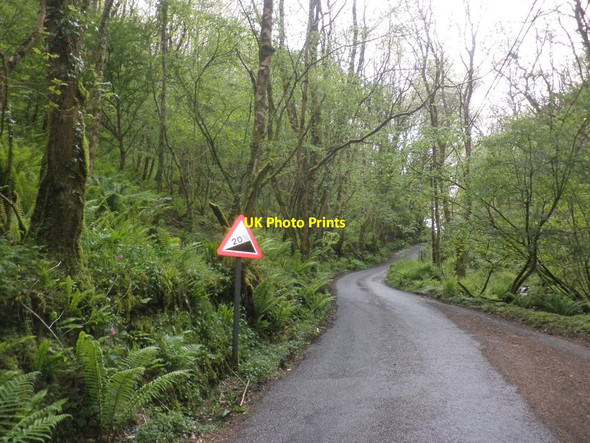 Photo 6"x4" Broadoak Hill Killington\/SS6646 c2014