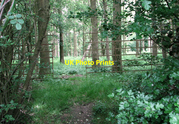 Photo 6"x4" Footpath to Church Road Flixton\/TM3186 c2014