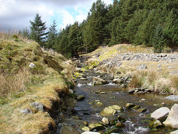 Photo 6"x4" Afon Diliw looking upstream Cefn\/SN8477 c2008