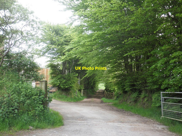 Photo 6"x4" Newground Lane Bodley c2014
