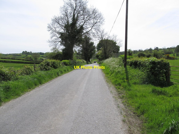 Photo 6"x4" View south along the Carrickananny Road Belleek\/H9827 c2014