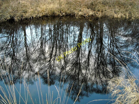 Photo 6"x4" Water of Trool Glentrool Village c2008