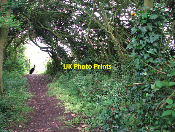 Photo 6"x4" Footpath to St Margaret's Road in Bungay Bungay c2014
