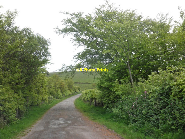 Photo 6"x4" Track to Two Gates Churchtown\/SS6744 c2014
