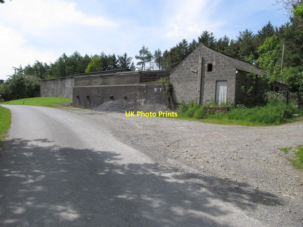 Photo 6"x4" Shelter belt and farm buildings on the Lurgana Road Kingsmills c2014