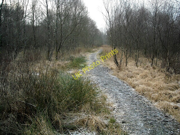 Photo 6"x4" Southern Upland Way in Glen Trool Glentrool Village c2008 P1