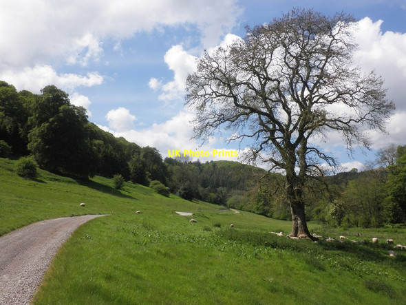 Photo 6"x4" The Chargot Estate Gupworthy c2014