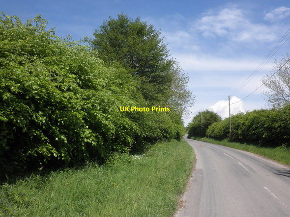 Photo 6"x4" Minor road from Wimbleball Lake Withiel Florey c2014