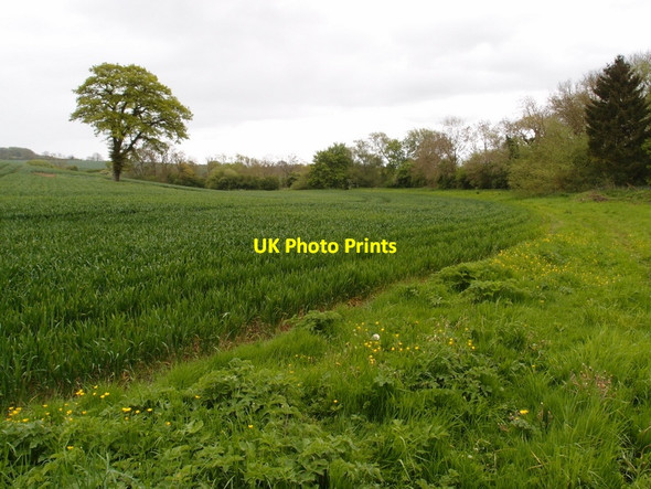 Photo 6"x4" Farmland by the Midshires Way Tilton on the Hill c2014