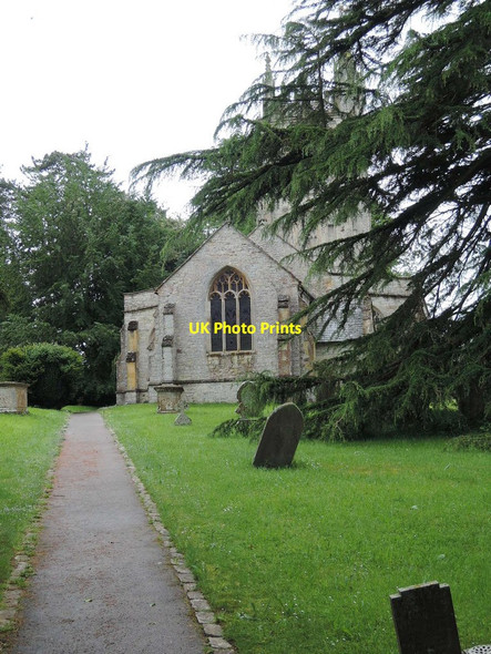 Photo 6"x4" Staple Fitzpaine: churchyard Staple Fitzpaine c2014