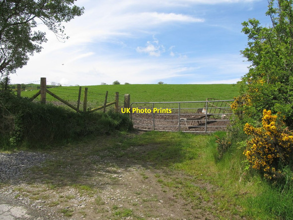 Photo 6"x4" Grazing land west of the Levin Road Belleek\/H9827 c2014