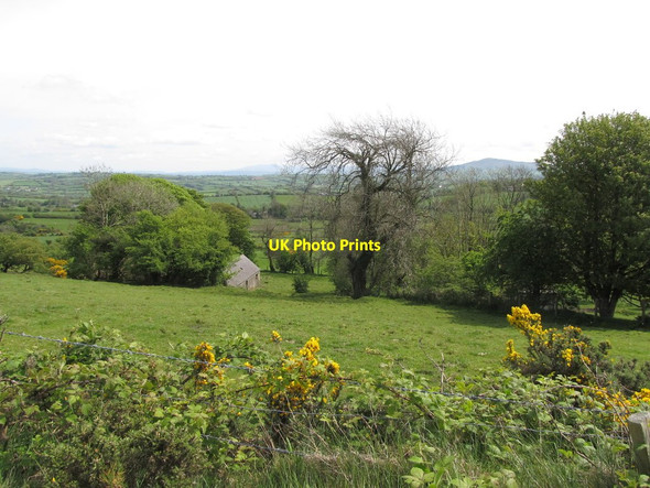 Photo 6"x4" Valley slope grazing land below Levins Road Belleek\/H9827 c2014