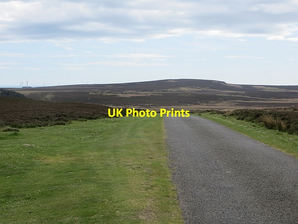 Photo 6"x4" Hepburn Moor Hepburn c2014