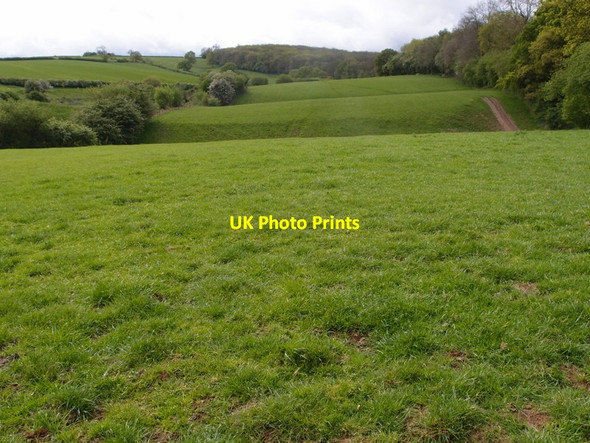 Photo 6"x4" Rolling pasture land by Launde Park Wood Loddington\/SK7802 c2014