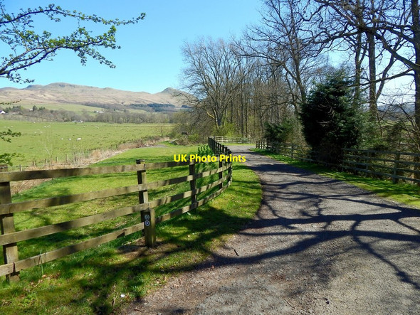 Photo 6"x4" West Highland Way at Laighparks Dumgoyne\/NS5283 c2014