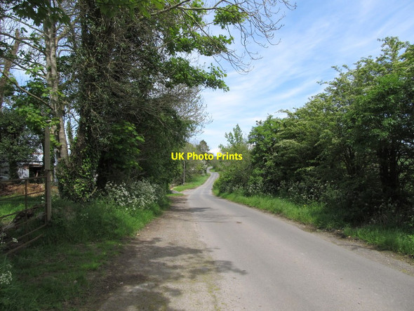 Photo 6"x4" View north along Carrickananny Road Belleek\/H9827 c2014