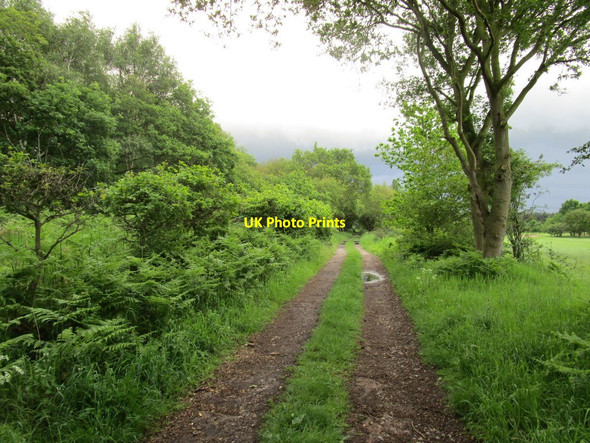 Photo 6"x4" Footpath across the Warren Golf Course Littleworth\/SK6298 c2014