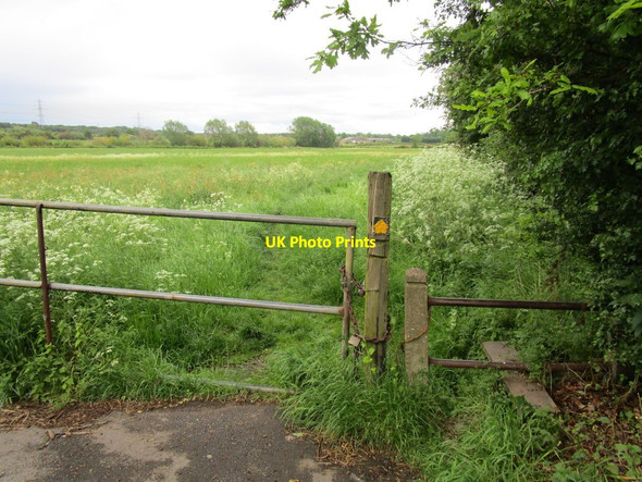 Photo 6"x4" The beginning of a footpath to Rossington Fishing Lake Littleworth\/SK6298 c2014