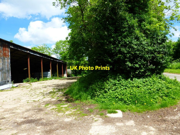 Photo 6"x4" Farm yard by lane going north from Riplington East End\/SU6424 c2014