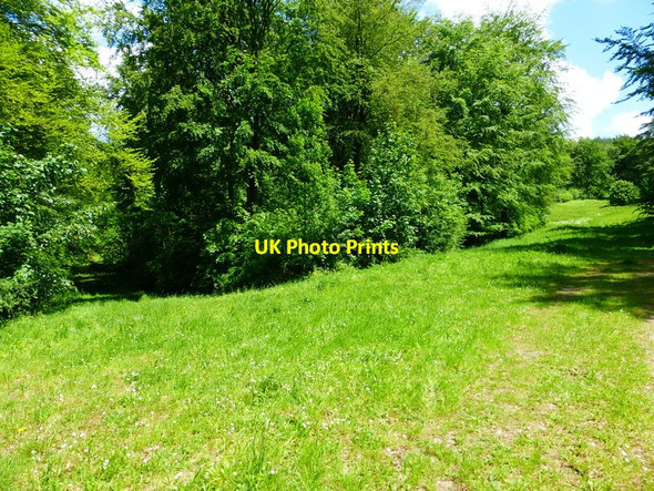 Photo 6"x4" Track junction in Hen Wood Coombe\/SU6620 c2014