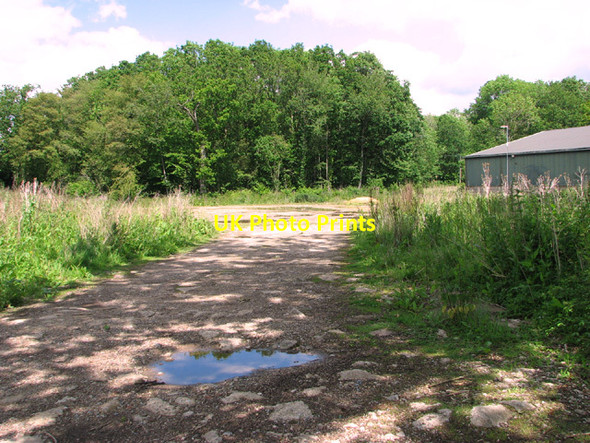 Photo 6"x4" View towards Hethel Wood Penny's Green c2014