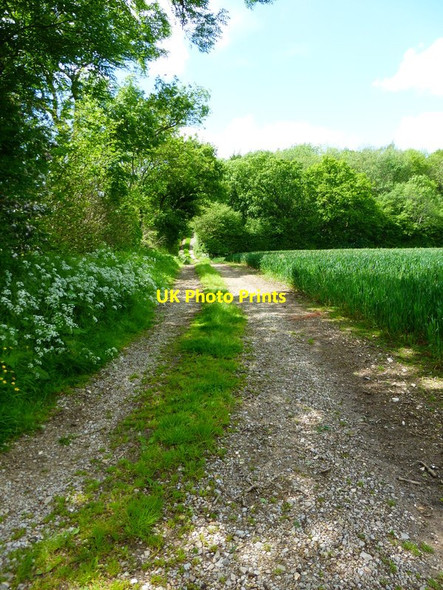Photo 6"x4" Farm track going west from Old Winchester Hill Lane East End\/SU6424 c2014
