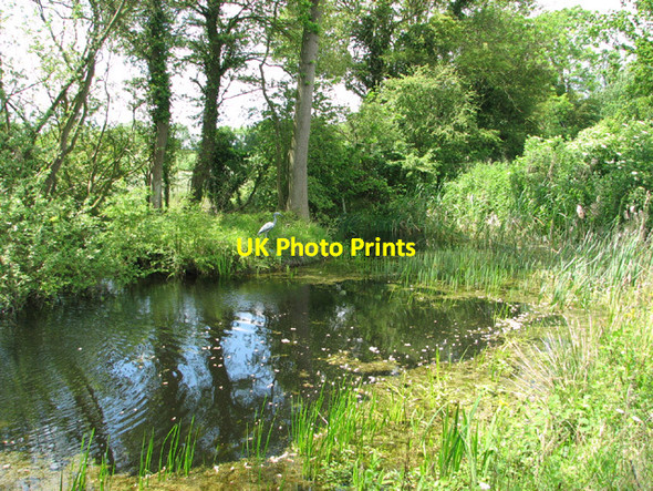 Photo 6"x4" Pond by Hethel Industrial Estate Penny's Green c2014
