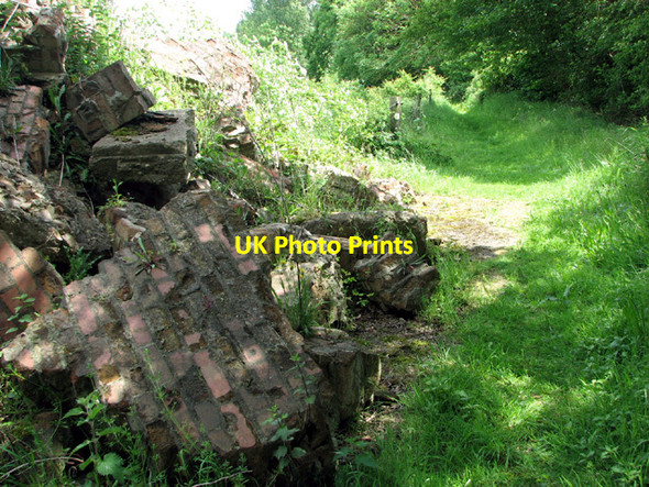 Photo 6"x4" The footpath to Hethel church Penny's Green c2014