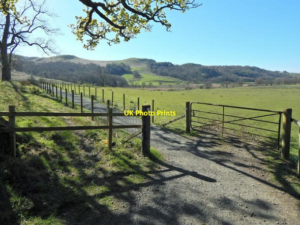 Photo 6"x4" West Highland Way near Dumgoyach Farm Dumgoyne\/NS5283 c2014