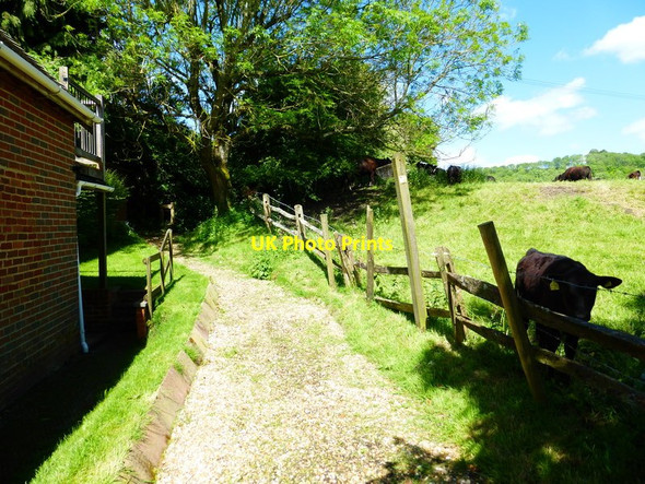 Photo 6"x4" Start of bridleway going northwards to Lower Bordean Farm East Meon c2014