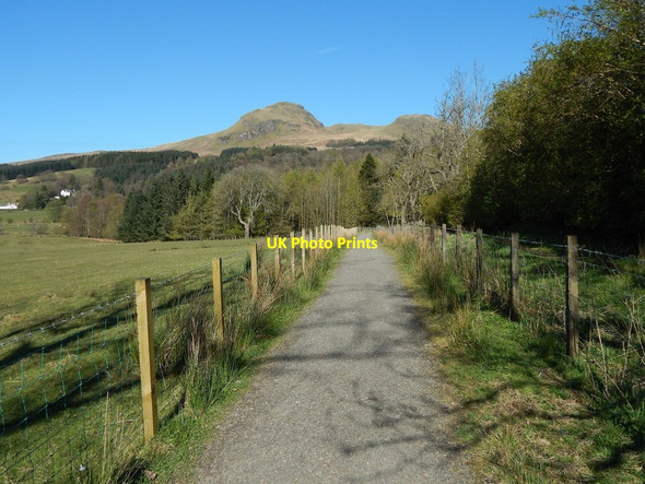 Photo 6"x4" West Highland Way beside Dumgoyach Farm Dumgoyne\/NS5283 c2014