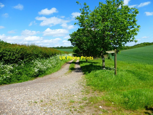 Photo 6"x4" Junction of footpath and bridleway east of Park Farm Langrish c2014
