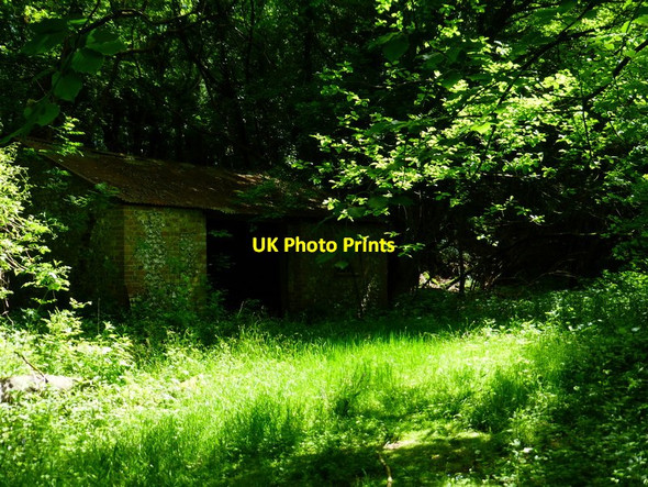 Photo 6"x4" Old barn on Sir William's Hill Langrish c2014