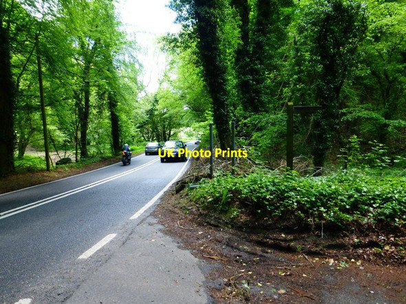 Photo 6"x4" The A272 near Langrish seen from footpath junction Langrish c2014