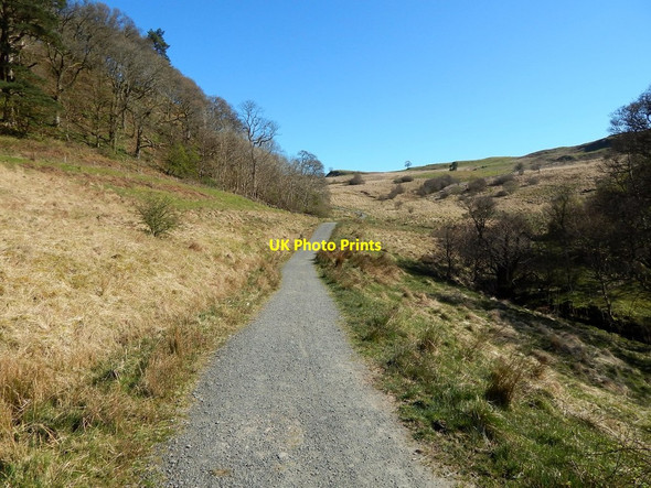Photo 6"x4" West Highland Way near Dumgoyach Dumgoyne\/NS5283 c2014