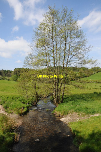 Photo 6"x4" Afon Ydw Myrtle Hill\/SN7630 c2014