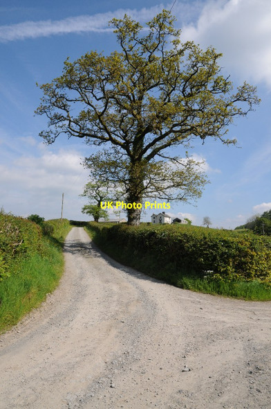 Photo 6"x4" Drive to Pantygaseg Myrtle Hill\/SN7630 c2014